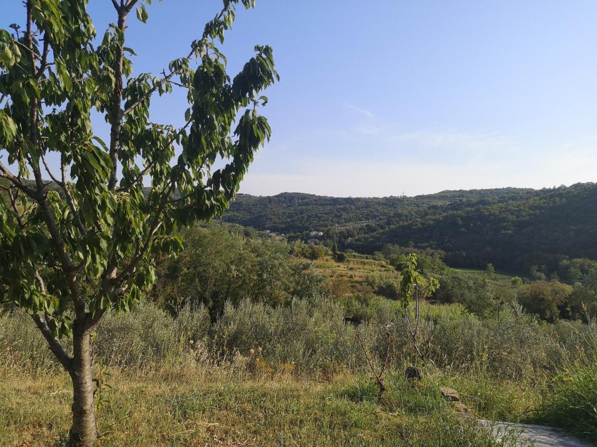 Saleto Apartma Jagodje Bagian luar foto